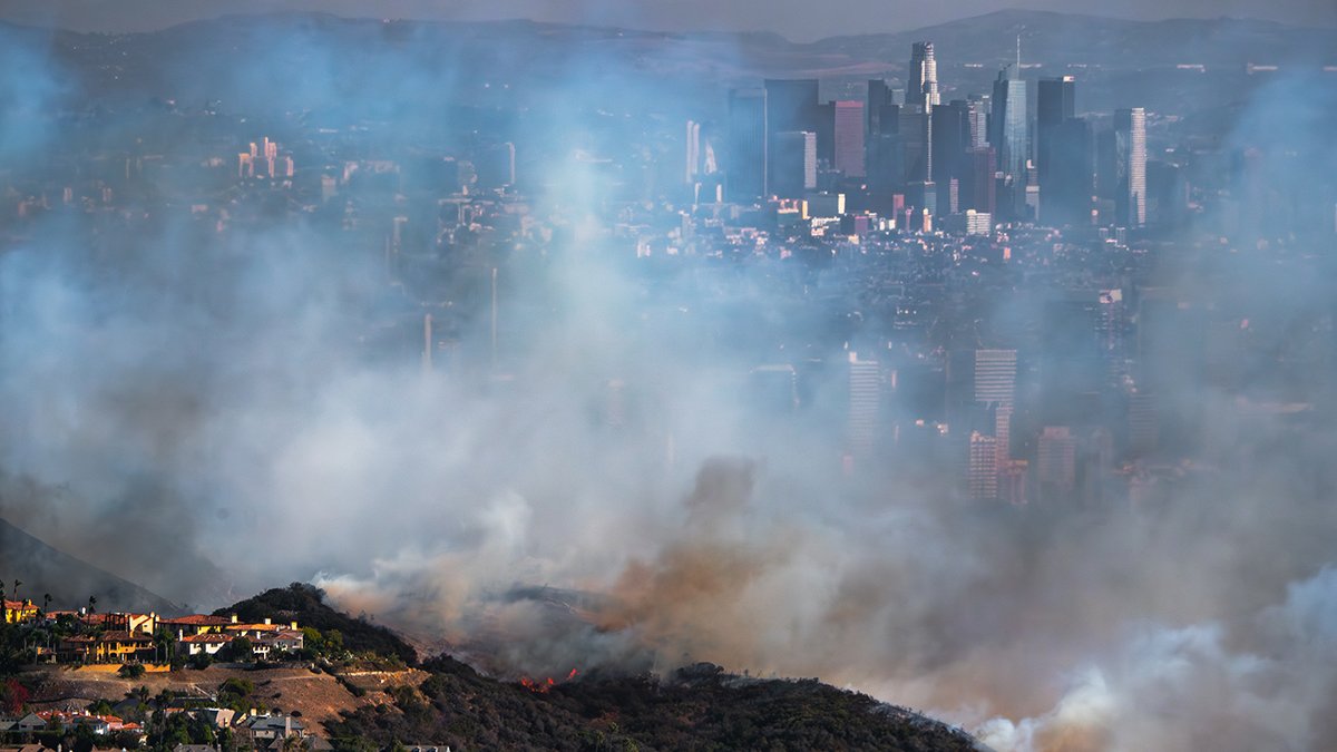 California regulator says Fair Plan illegally denied smoke claims 5 California Palisades fire (2025)