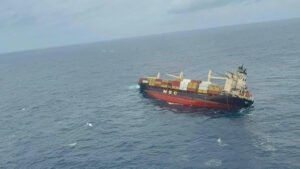 World’s biggest shipowner files for limitation on India spill payout 13 MSC Elsa
